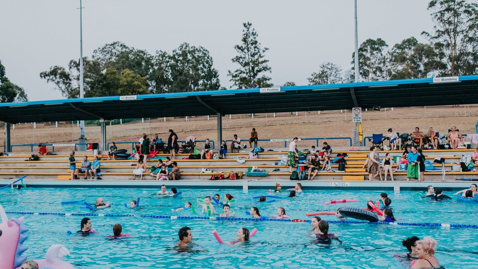 Australia Day Free Pool Entry My Maitland