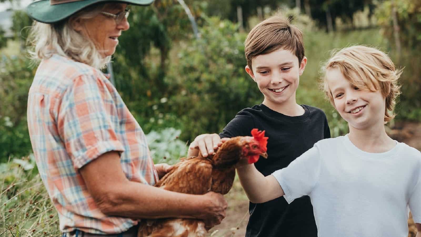 Purple Pear Farm My Maitland