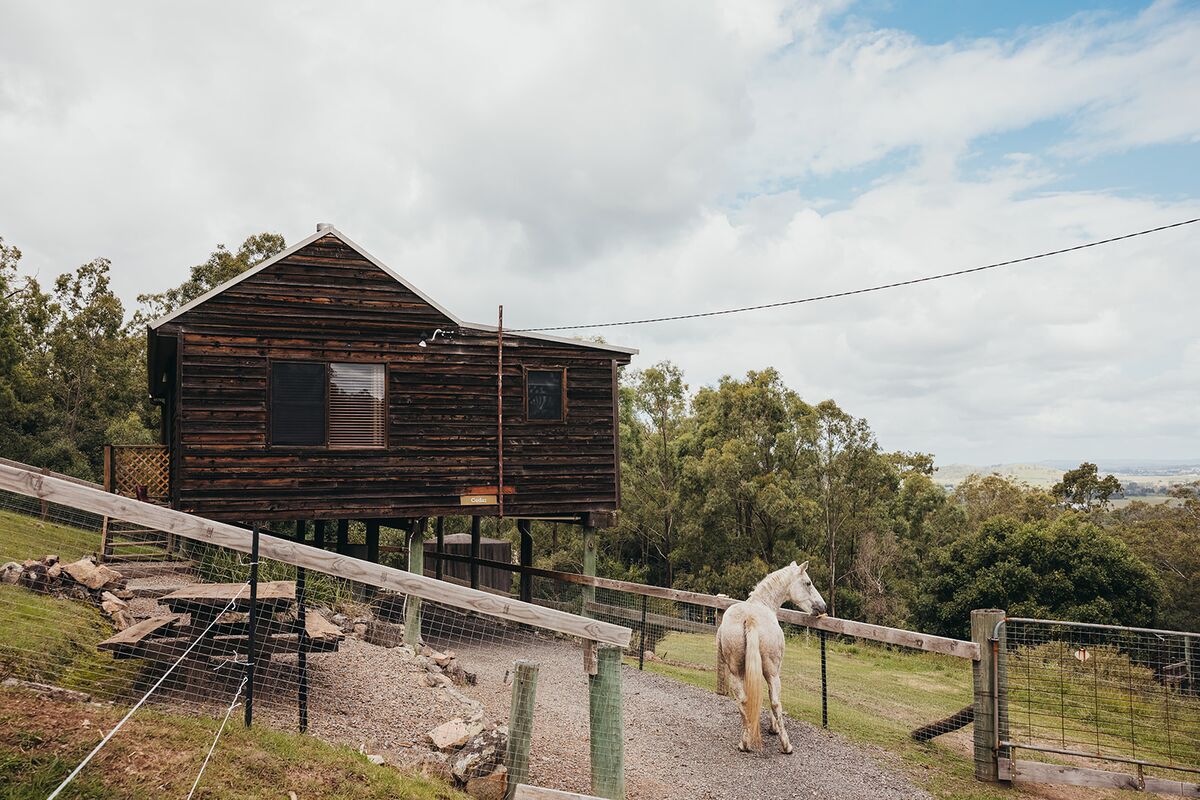 Land of plenty Discover Maitland's farm life and produce My Maitland