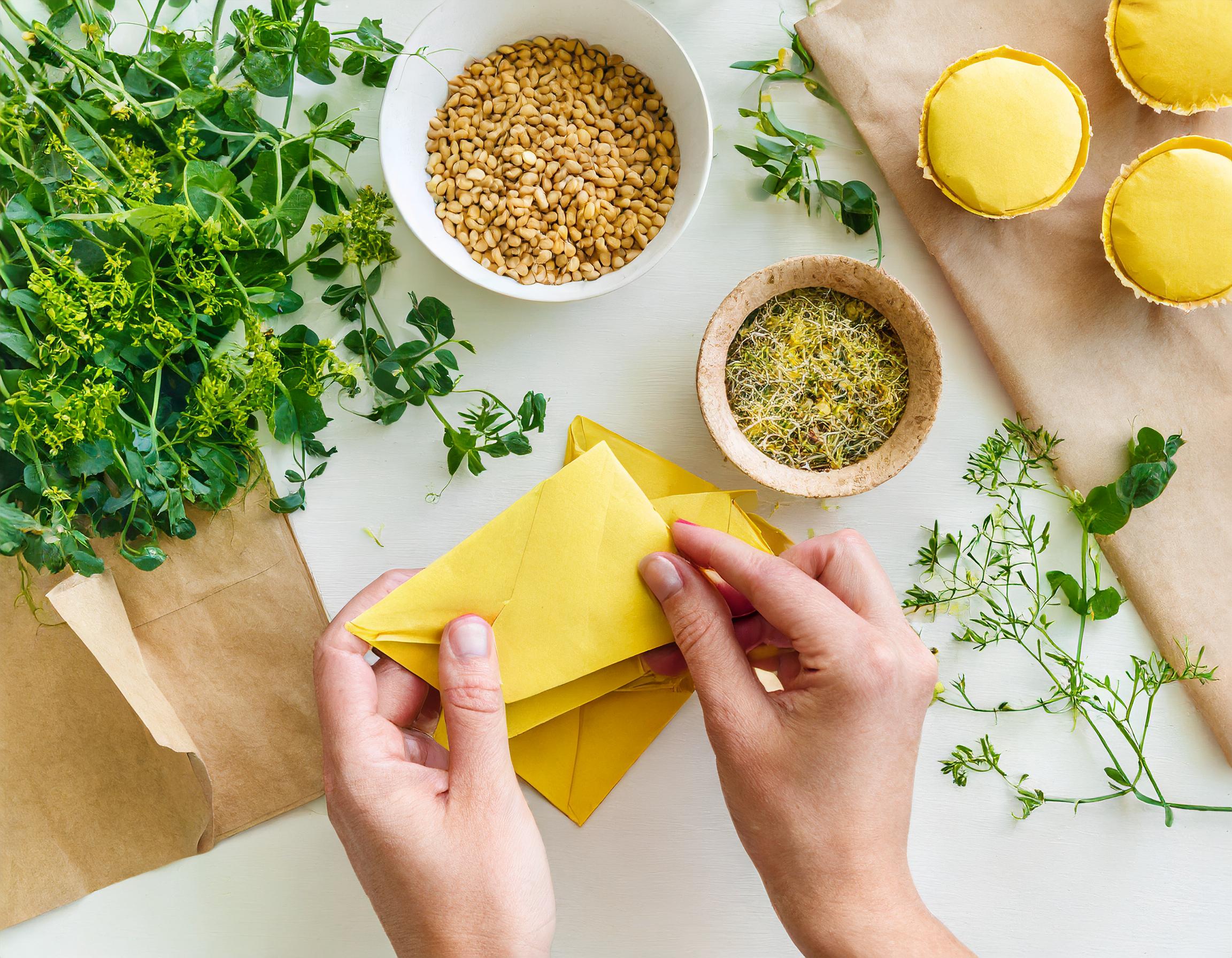 Seed Library Pack and Chat