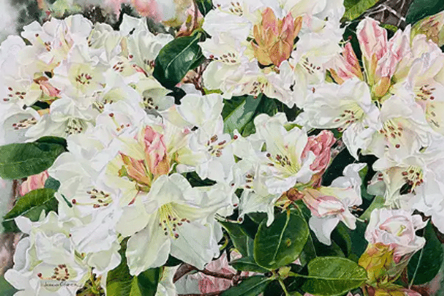 Spring Art Exhibition – Maitland Region Society of Artists