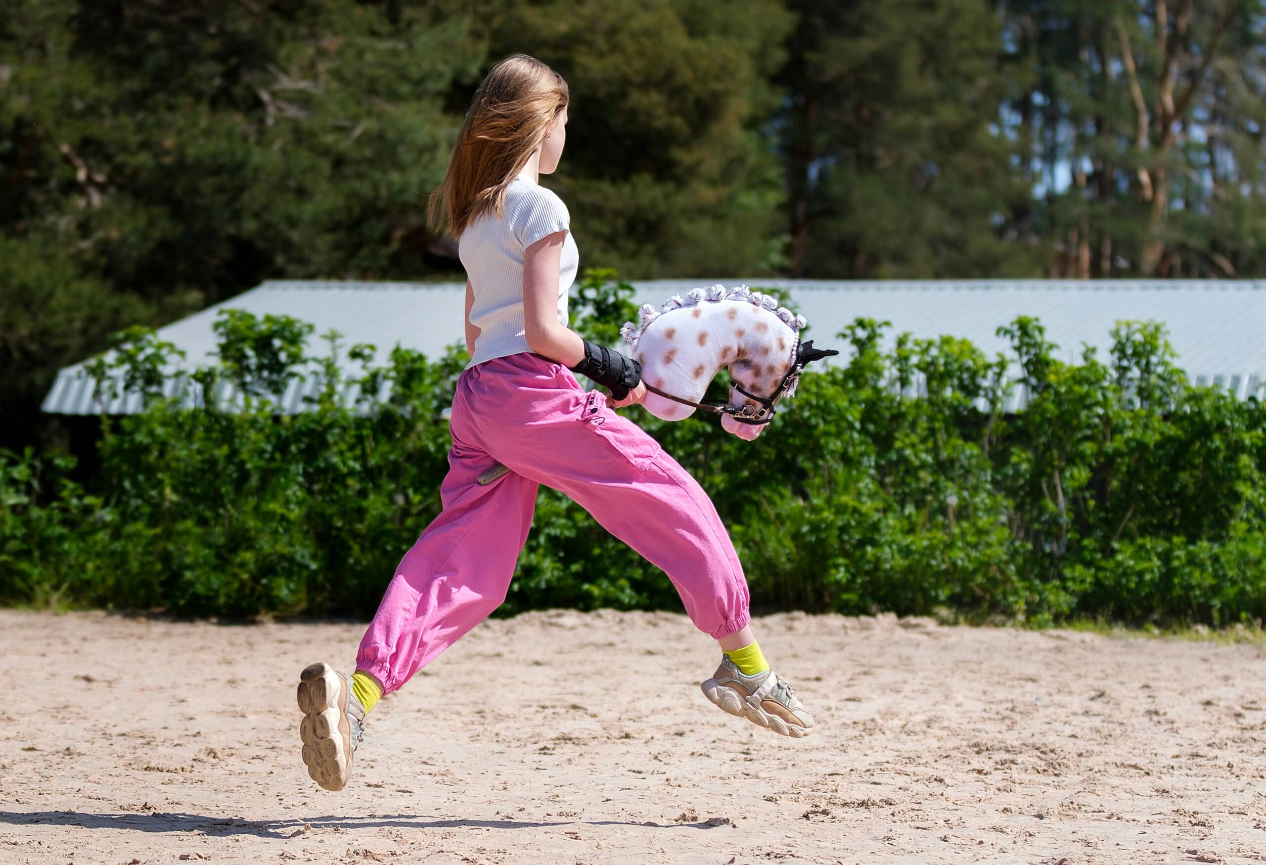 Hobby Horse Riding Workshop