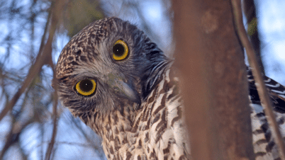 Get involved in Citizen Science