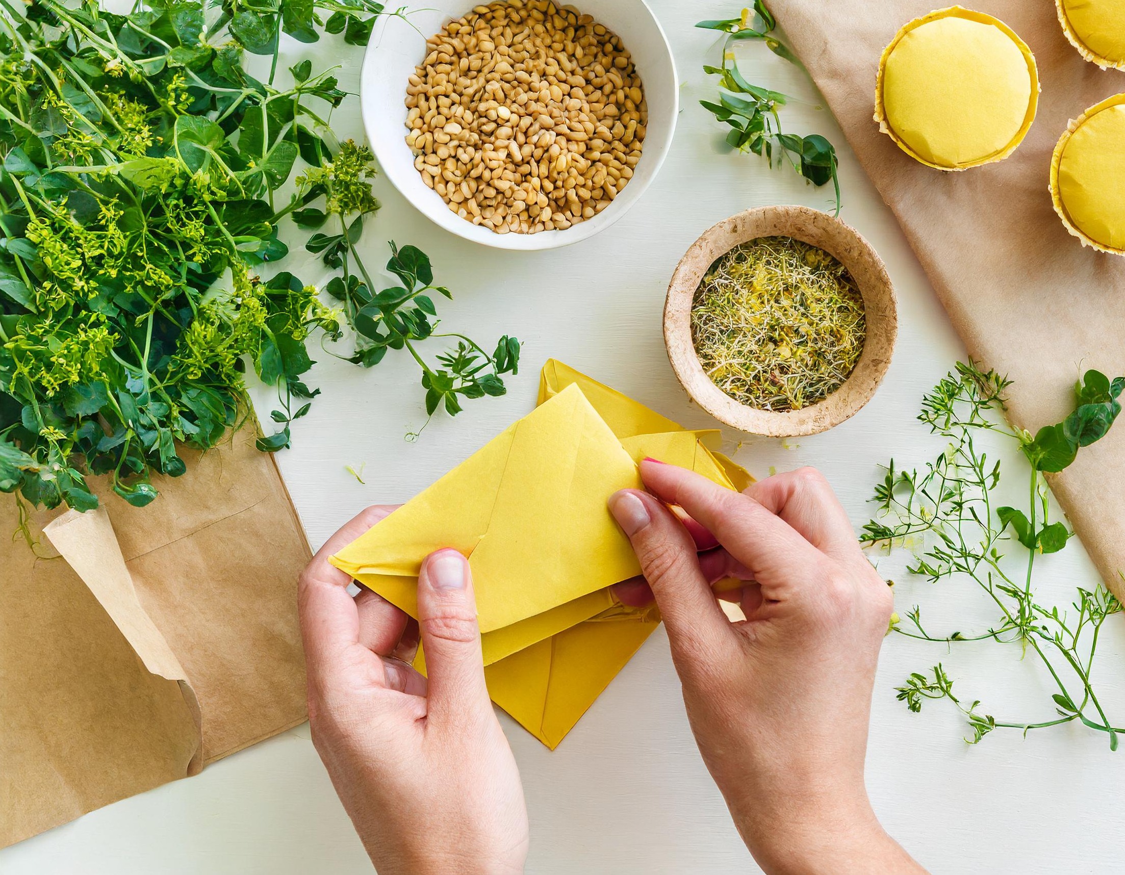 Seed Library Pack and Chat – April